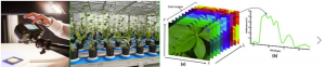 高光譜成像技術(shù)植物監(jiān)測(cè)中的優(yōu)勢(shì)