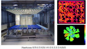 在植物表型組學應用中使用近紅外光譜學的優(yōu)勢和限制