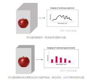 多光譜相機(jī)成像與高光譜相機(jī)的區(qū)別